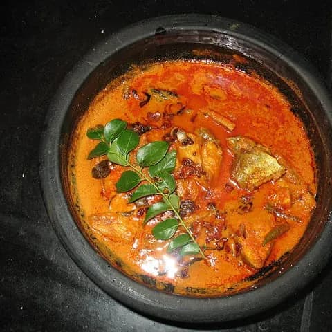 Fish